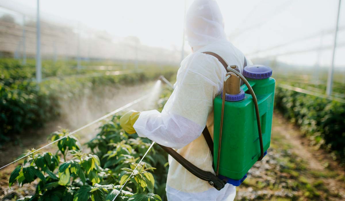 Apenas uma em cada 50 intoxicações por agrotóxicos é formalmente registrada no mundo, indicando possível subnotificação estrutural Apenas uma em cada 50 intoxicações por agrotóxicos é formalmente registrada no mundo, indicando possível subnotificação estrutural