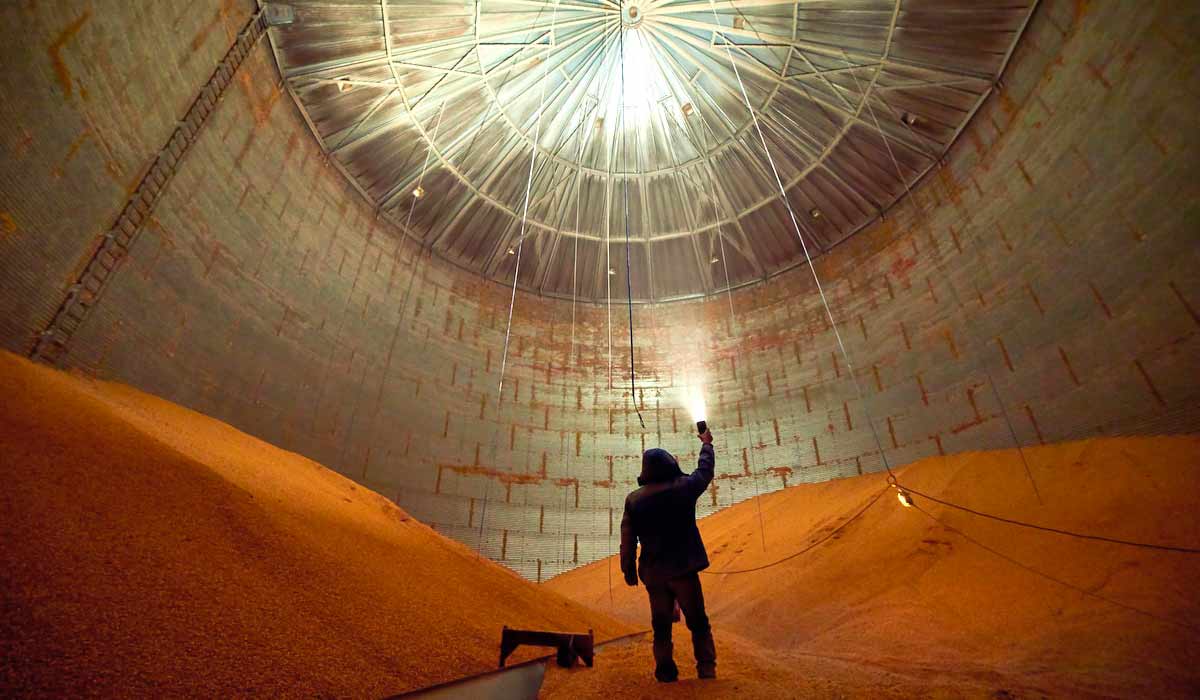 Mensalmente, mais de seis trabalhadores morrem em acidentes em silos