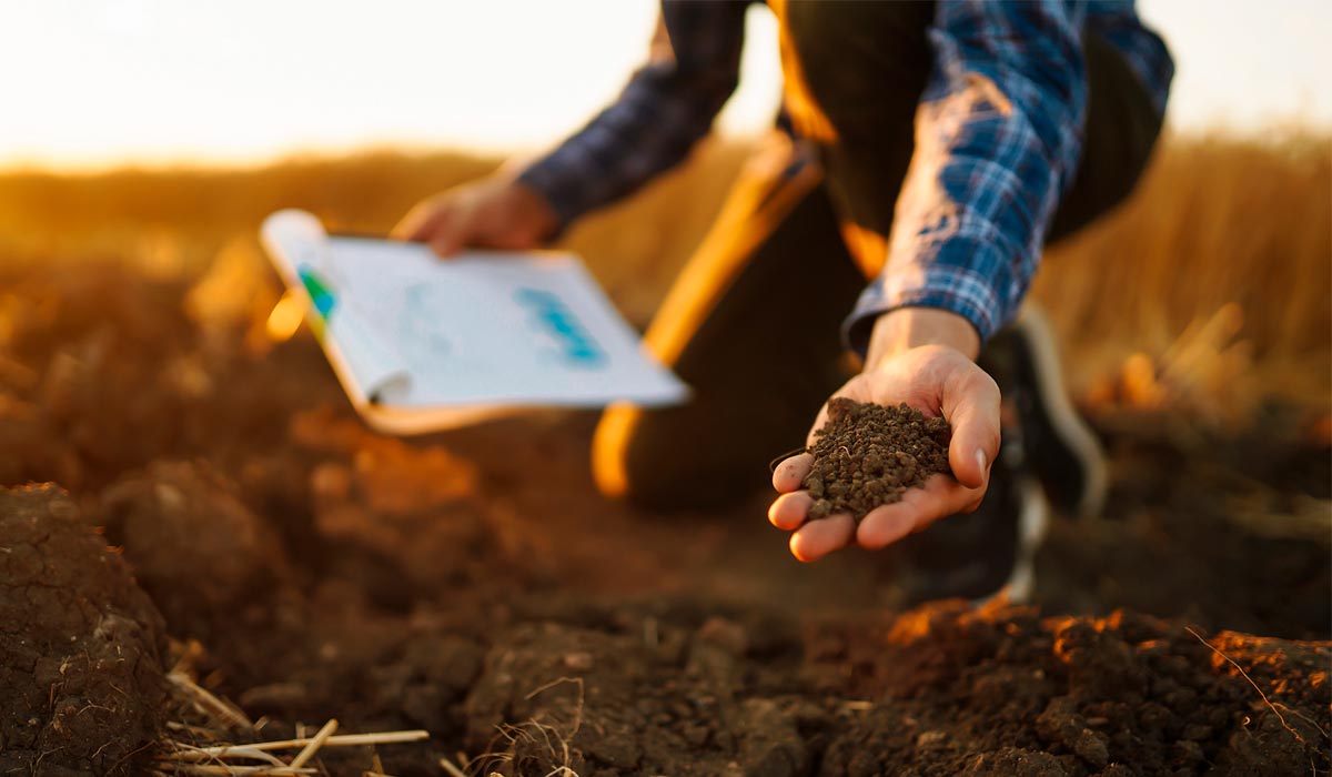 O produtor como agente direto da avaliação do solo de sua propriedade