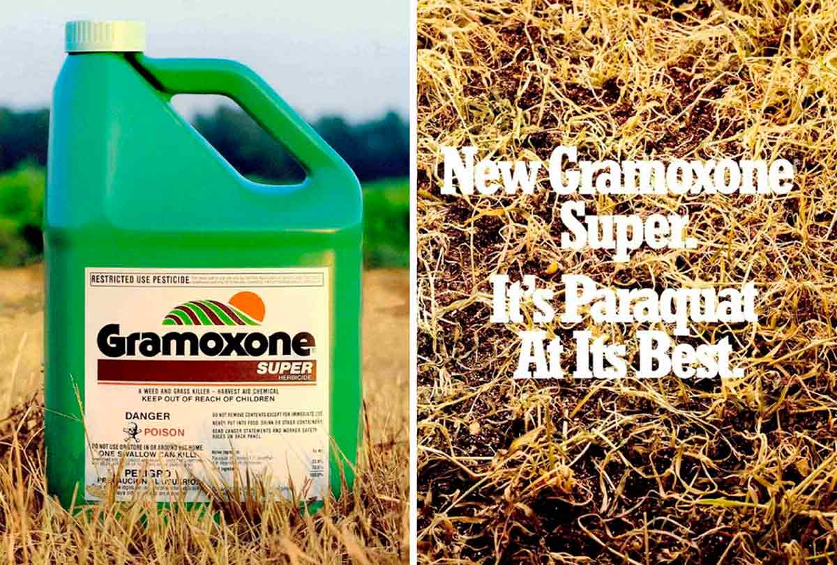 Anúncio antigo do Gramoxone, nome comercial do Paraquate. O agrotóxico é usado em cultivos como o de algodão, cana-de-açúcar, milho, café e banana, desde a década de 1960. No Brasil está proibido desde 2020 Anúncio antigo do Gramoxone, nome comercial do Paraquate. O agrotóxico é usado em cultivos como o de algodão, cana-de-açúcar, milho, café e banana, desde a década de 1960. No Brasil está proibido desde 2020