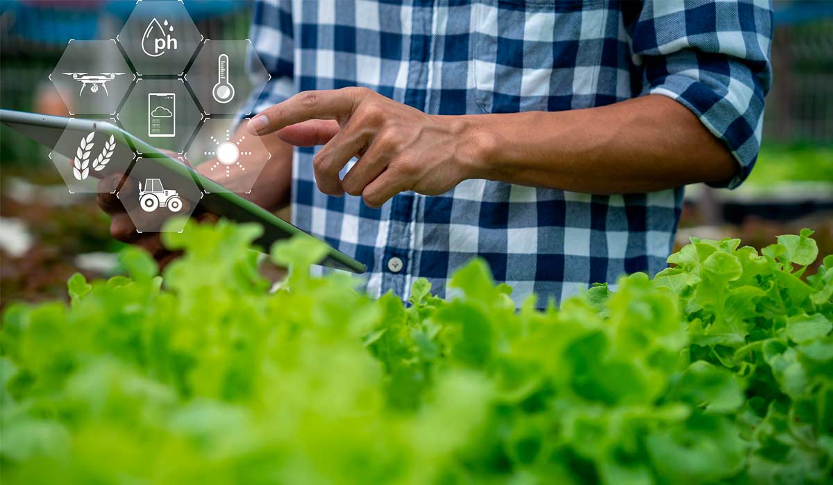 Agricultura familiar conectada