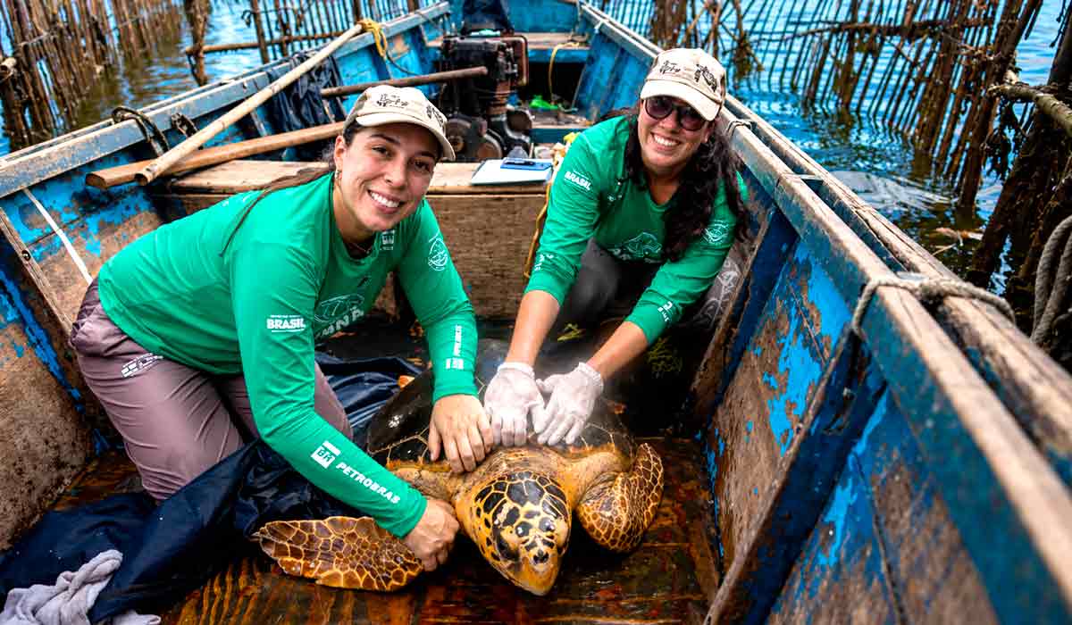 Biólogas Larissa Araujo e Suzana Guimarães com uma das tartarugas-cabeçudas - Foto: Stefan Kolumban Biólogas Larissa Araujo e Suzana Guimarães com uma das tartarugas-cabeçudas - Foto: Stefan Kolumban