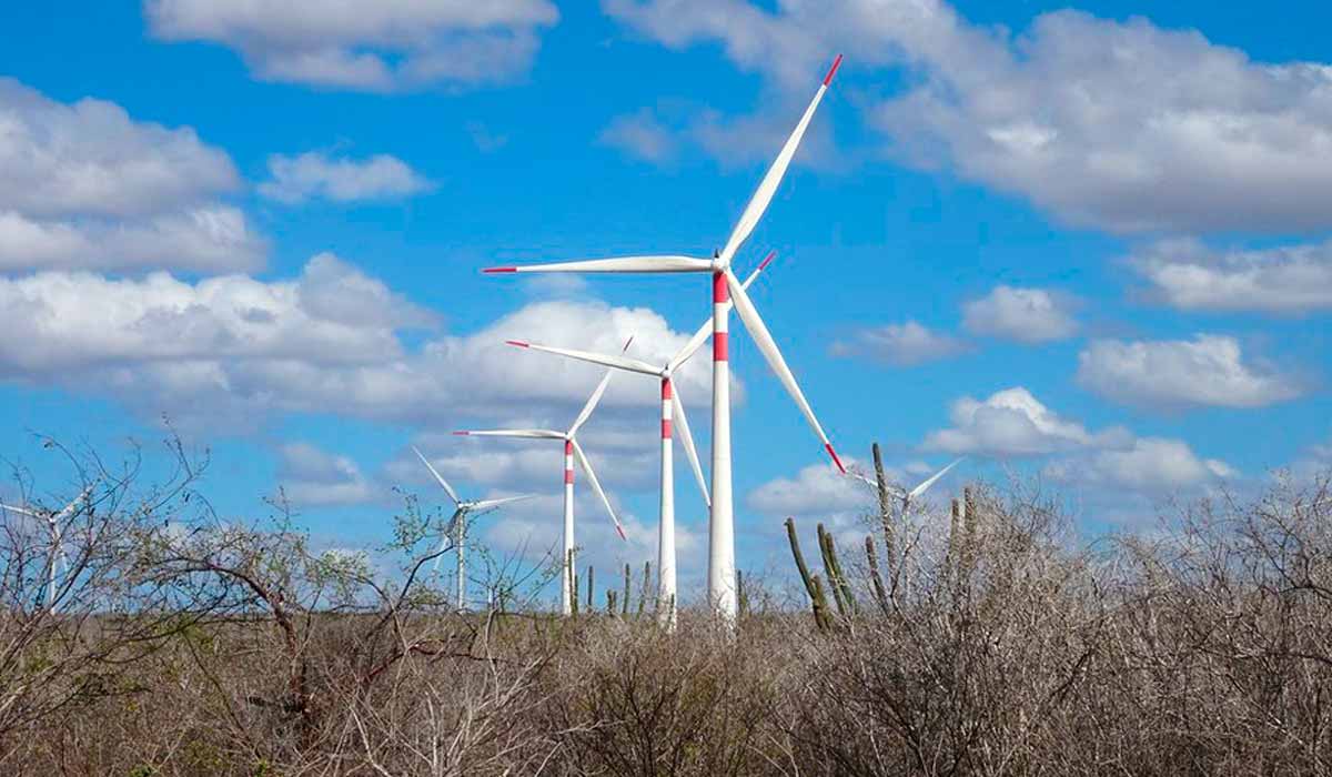 Torres com aerogeradores de energia na caatinga Torres com aerogeradores de energia na caatinga