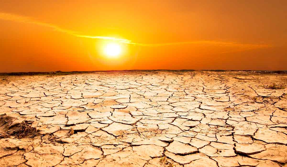 Destruição da caatinga pode desertificar o país