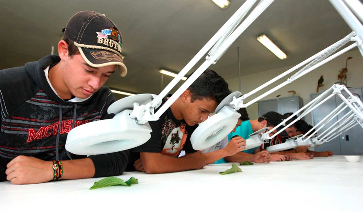 Alunos em aula prática de laboratório Alunos em aula prática de laboratório