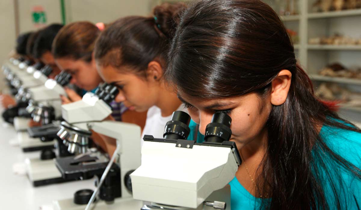 O conceito combina alto volume de produção com geração de receita e consistência pedagógica O conceito combina alto volume de produção com geração de receita e consistência pedagógica