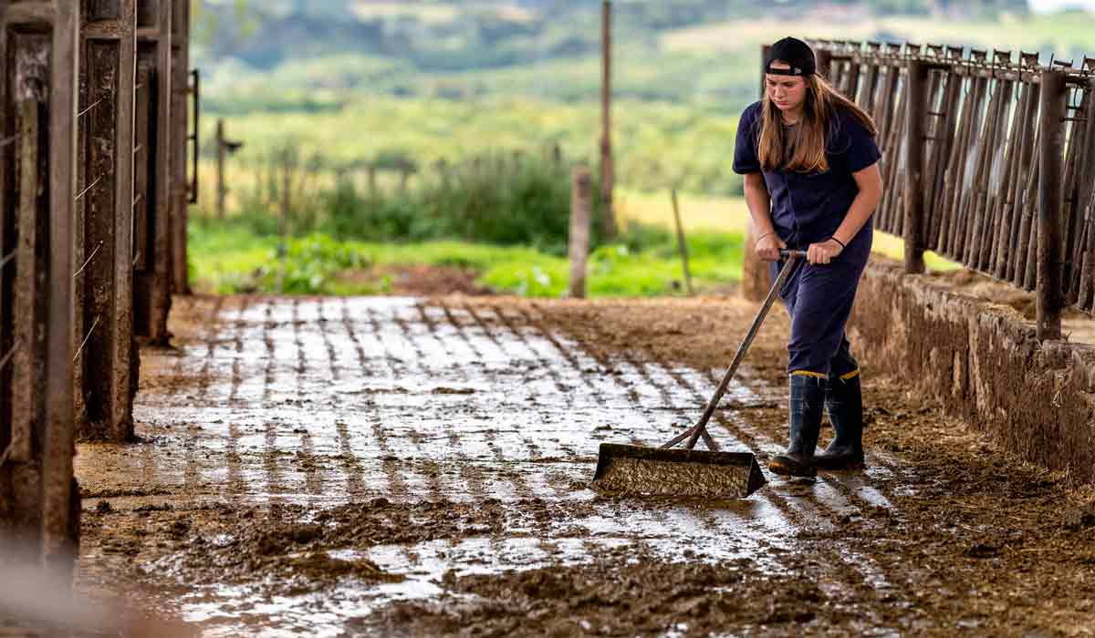 Lida diária nas atividades do colégio Lida diária nas atividades do colégio