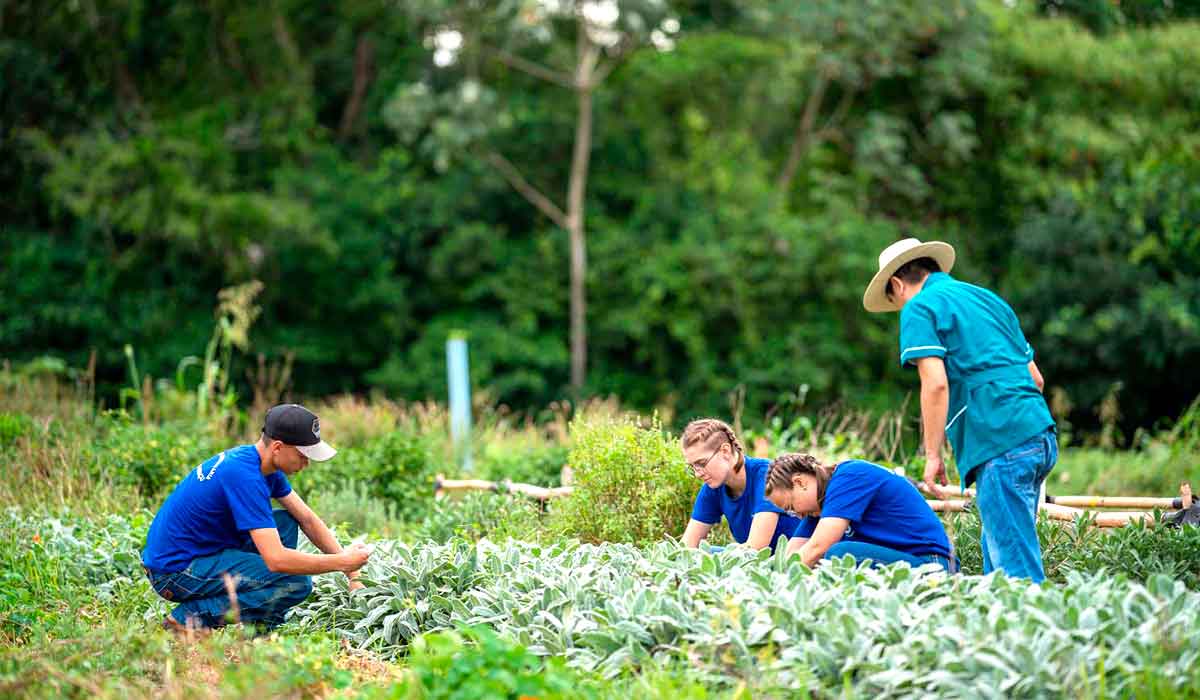 Colégio agrícola alia ensino técnico e produção e atinge receita milionária - Foto: Lucas Fermin/SEED Colégio agrícola alia ensino técnico e produção e atinge receita milionária - Foto: Lucas Fermin/SEED