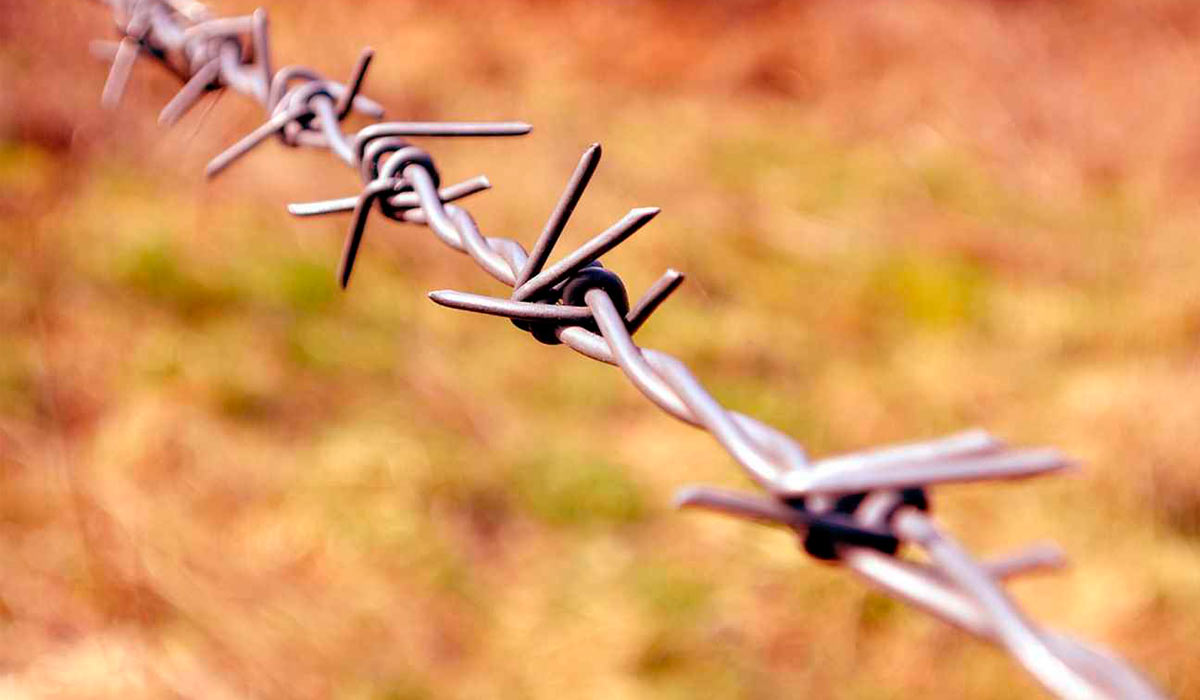 Dados mostram relação entre expansão agrícola e impactos sociais