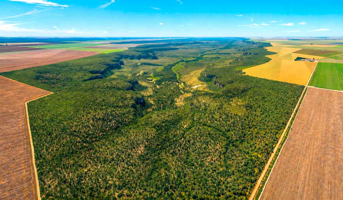 Comunidades tradicionais denunciam que grandes fazendas de monocultura passaram a se apropriar ilegalmente dos vales tradicionalmente ocupados por geraizeiros no Oeste da Bahia, como o Vale do Rio Preto - Foto: de André Dib/Ambiental Media Comunidades tradicionais denunciam que grandes fazendas de monocultura passaram a se apropriar ilegalmente dos vales tradicionalmente ocupados por geraizeiros no Oeste da Bahia, como o Vale do Rio Preto - Foto: de André Dib/Ambiental Media