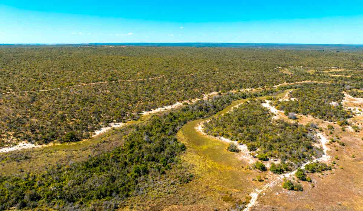 Comunidades de fundo e fecho de pasto que vivem da solta do gado, agricultura familiar e extrativismo, sofrem com conflitos no campo que revelam desafios estruturais da produção agrícola. Vista aérea do Fecho do Cupim, no Vale do Rio Correntina - Foto: André Dib/Ambiental Media Comunidades de fundo e fecho de pasto que vivem da solta do gado, agricultura familiar e extrativismo, sofrem com conflitos no campo que revelam desafios estruturais da produção agrícola. Vista aérea do Fecho do Cupim, no Vale do Rio Correntina - Foto: André Dib/Ambiental Media