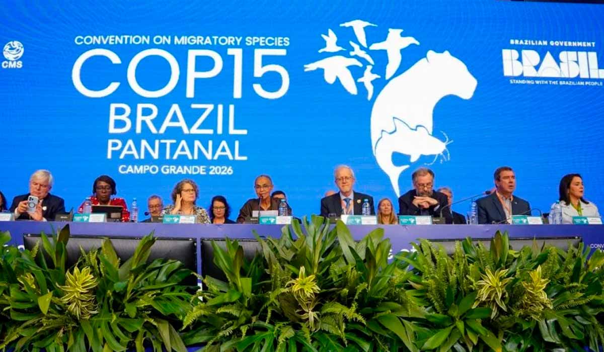 A COP15 aprovou a inclusão de 40 novas espécies migratórias sob proteção internacional A COP15 aprovou a inclusão de 40 novas espécies migratórias sob proteção internacional
