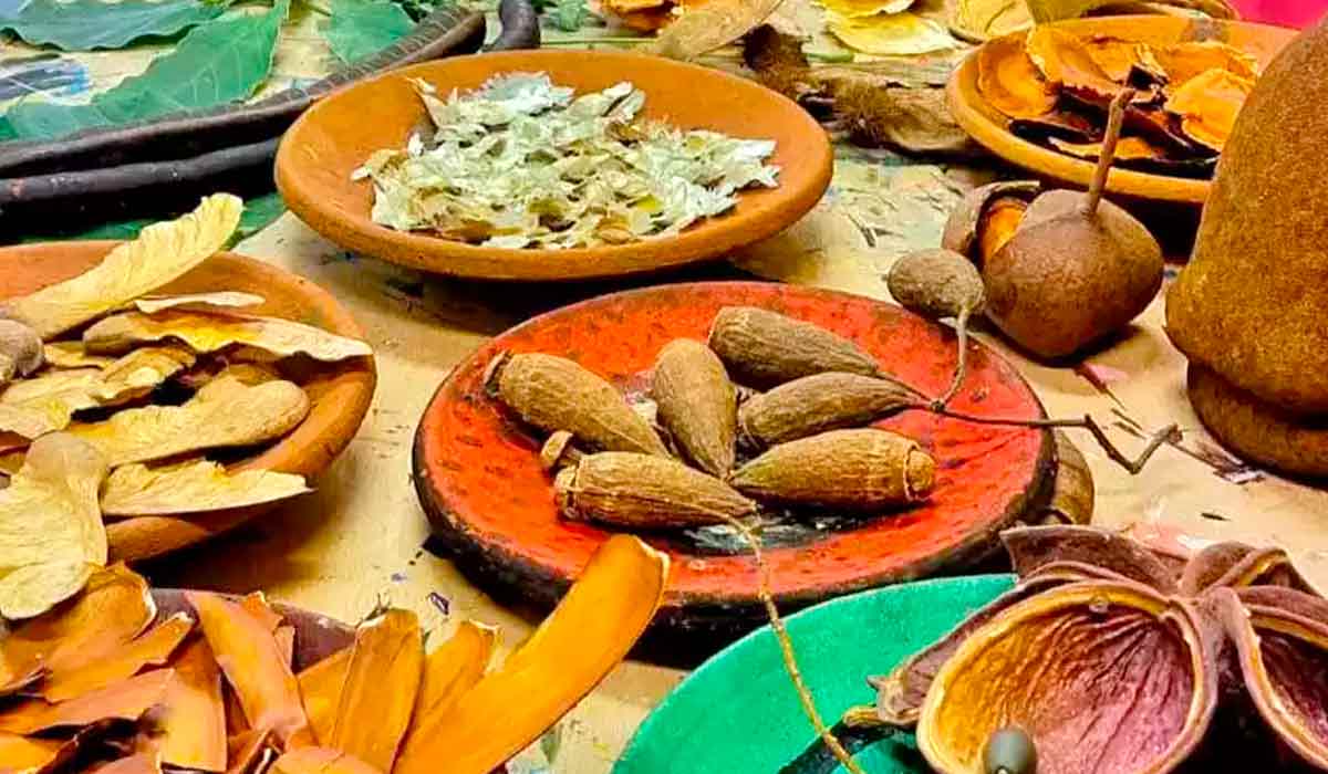 Seminário Embrapa de Socioeconomia