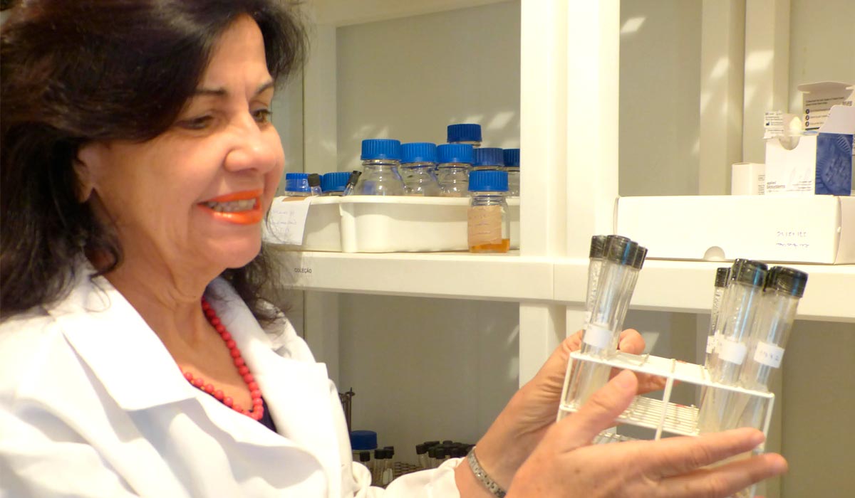 No laboratório da Embrapa, Mariangela impulsiona inovação agrícola sustentável No laboratório da Embrapa, Mariangela impulsiona inovação agrícola sustentável