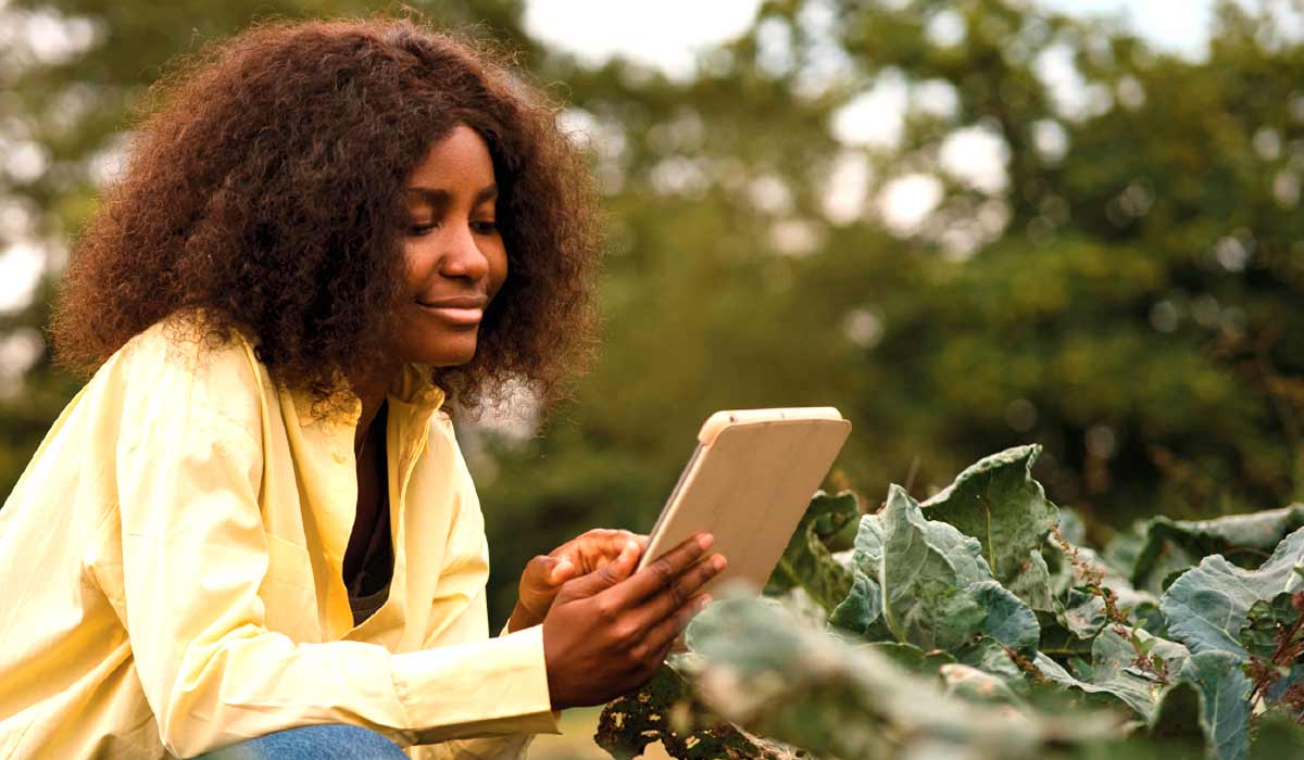 Extensionistas utilizam tecnologia para orientar produtores e a agricultura familiar ganha suporte digital inovador Extensionistas utilizam tecnologia para orientar produtores e a agricultura familiar ganha suporte digital inovador