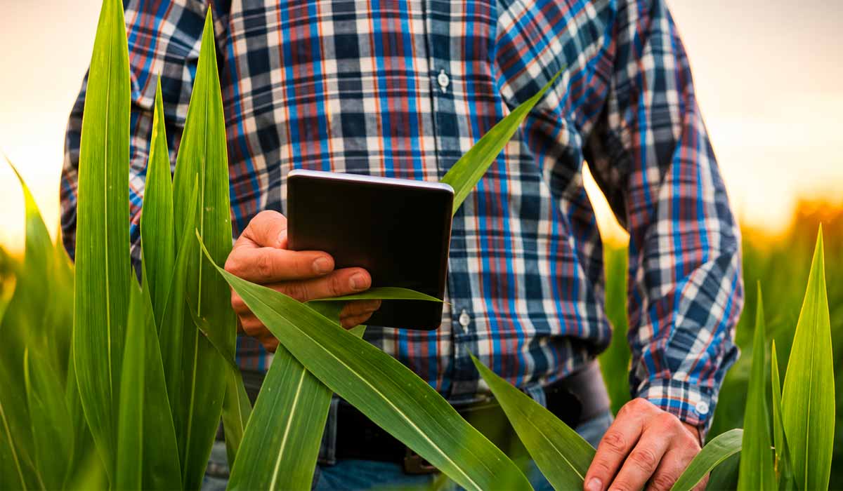 Integração entre ciência e prática impulsiona produtividade com ferramentas digitais que apoiam decisões no agronegócio Integração entre ciência e prática impulsiona produtividade com ferramentas digitais que apoiam decisões no agronegócio