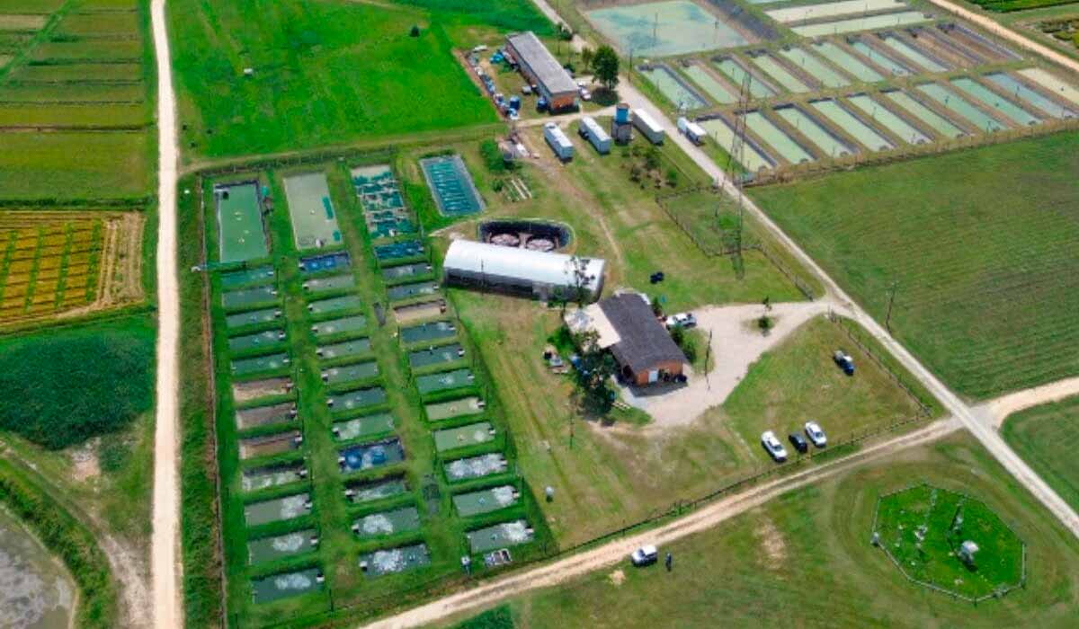 Campo Experimental de Piscicultura de Itajaí (Cepit) Campo Experimental de Piscicultura de Itajaí (Cepit)