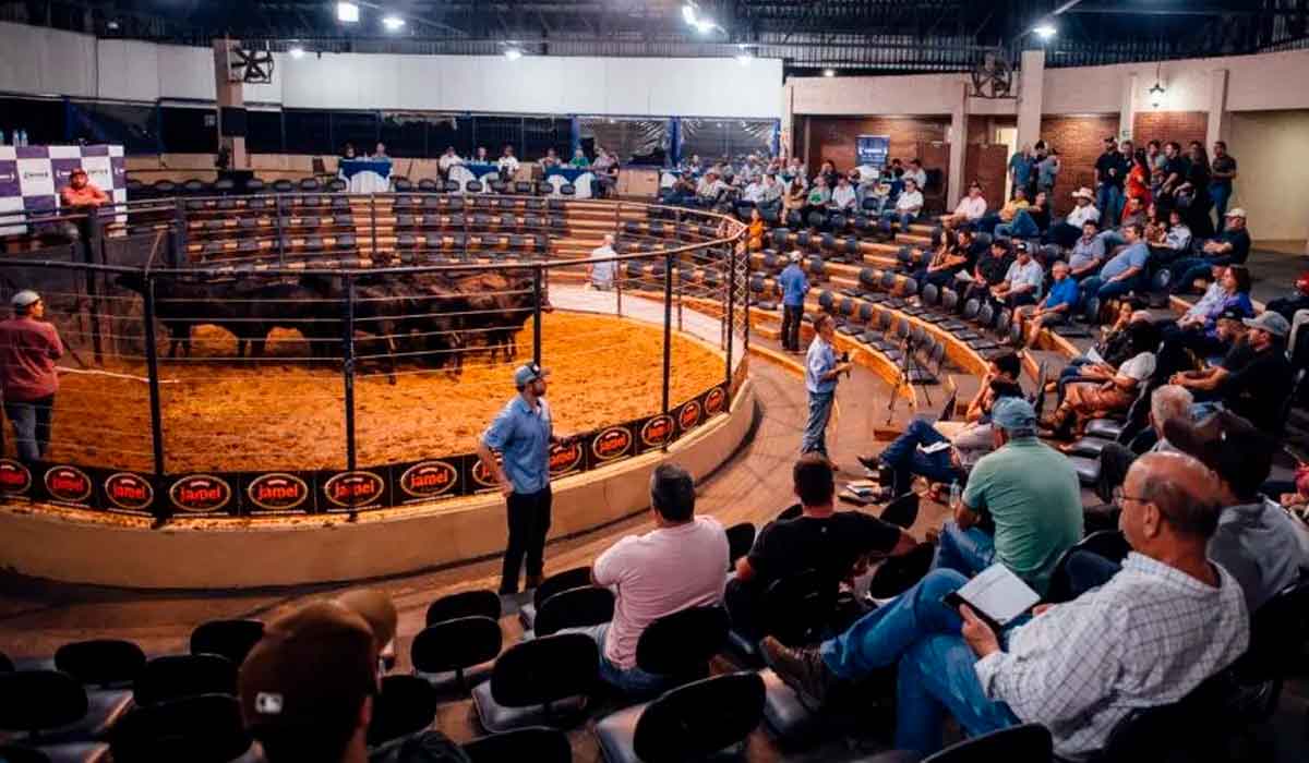 A feira promove a venda de diversos tipos de animais, incluindo bovinos de corte e leite, equinos e ovinos e os leilões movimentam valores expressivos A feira promove a venda de diversos tipos de animais, incluindo bovinos de corte e leite, equinos e ovinos e os leilões movimentam valores expressivos