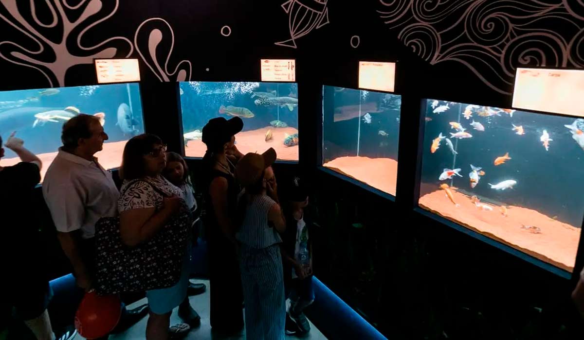 Aquário de Londrina foi inaugurado em abril de 2025, durante a ExpoLondrina e abriga 15 aquários com mais de 30 espécies de peixes de cultivo, ornamentais e nativos das Bacias do Paraná e Amazônica Aquário de Londrina foi inaugurado em abril de 2025, durante a ExpoLondrina e abriga 15 aquários com mais de 30 espécies de peixes de cultivo, ornamentais e nativos das Bacias do Paraná e Amazônica