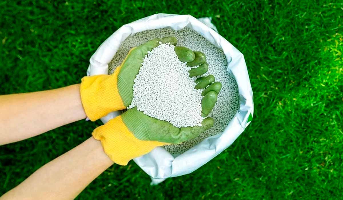 Alta de custos e risco de oferta desafiam planejamento do produtor rural na hora de adquirir o fertilizante Alta de custos e risco de oferta desafiam planejamento do produtor rural na hora de adquirir o fertilizante