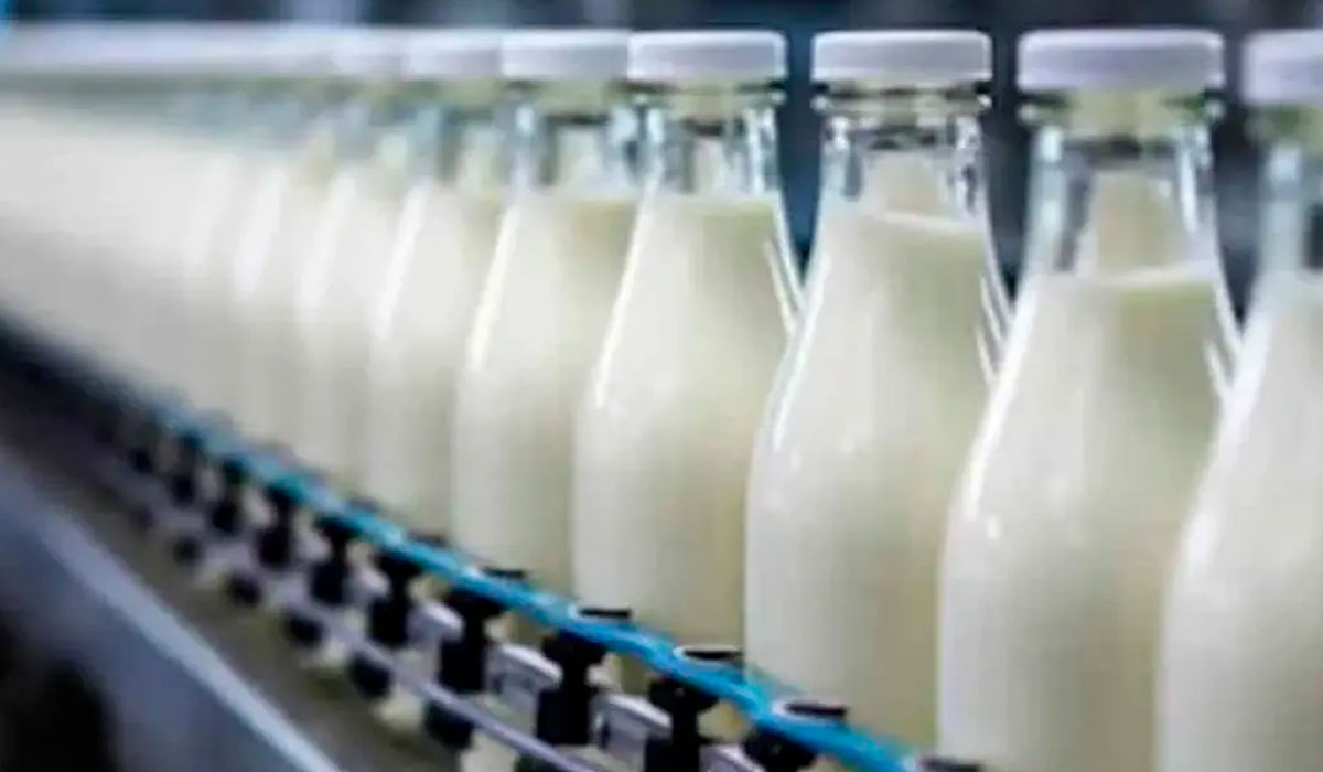 Produção cresce e exige eficiência para sustentar margens no leite Produção cresce e exige eficiência para sustentar margens no leite