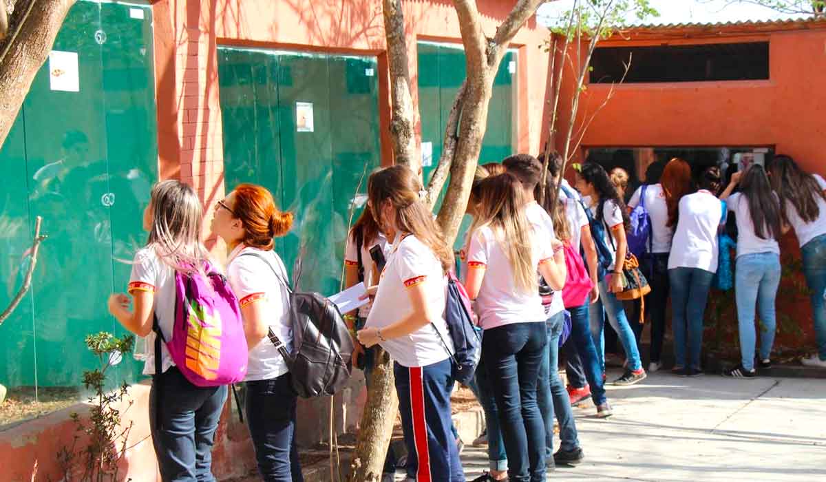 Recintos adaptados garantem bem-estar dos animais Recintos adaptados garantem bem-estar dos animais