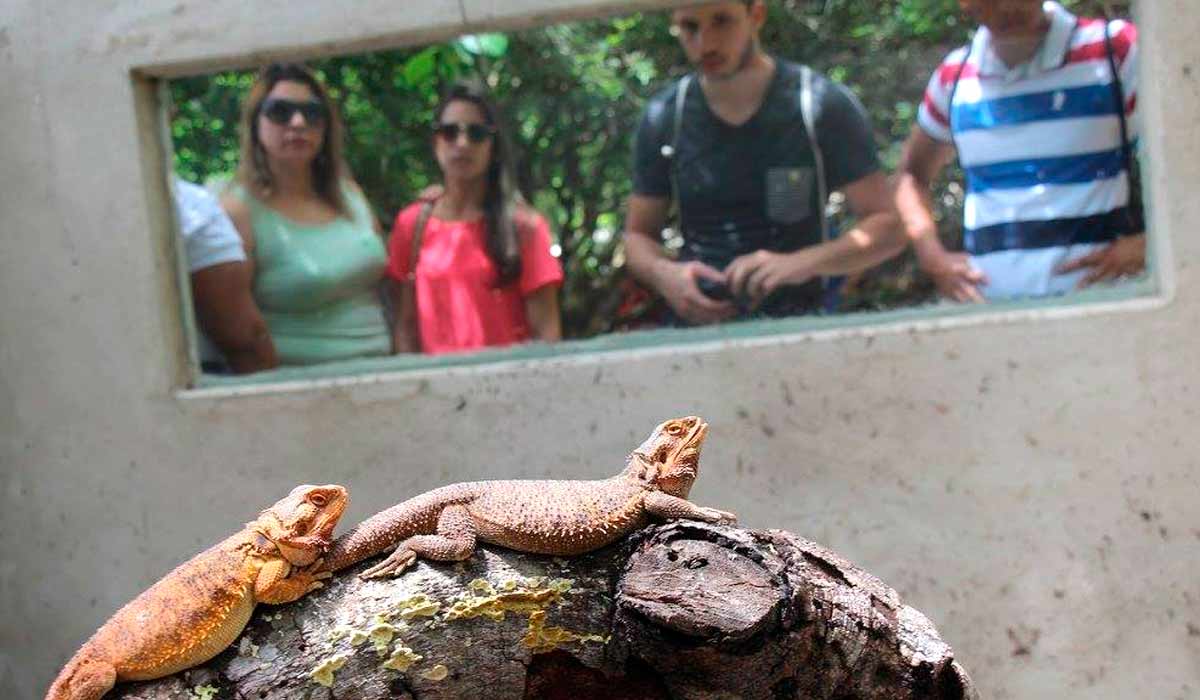 Museu integra conservação, ciência e turismo sustentável Museu integra conservação, ciência e turismo sustentável