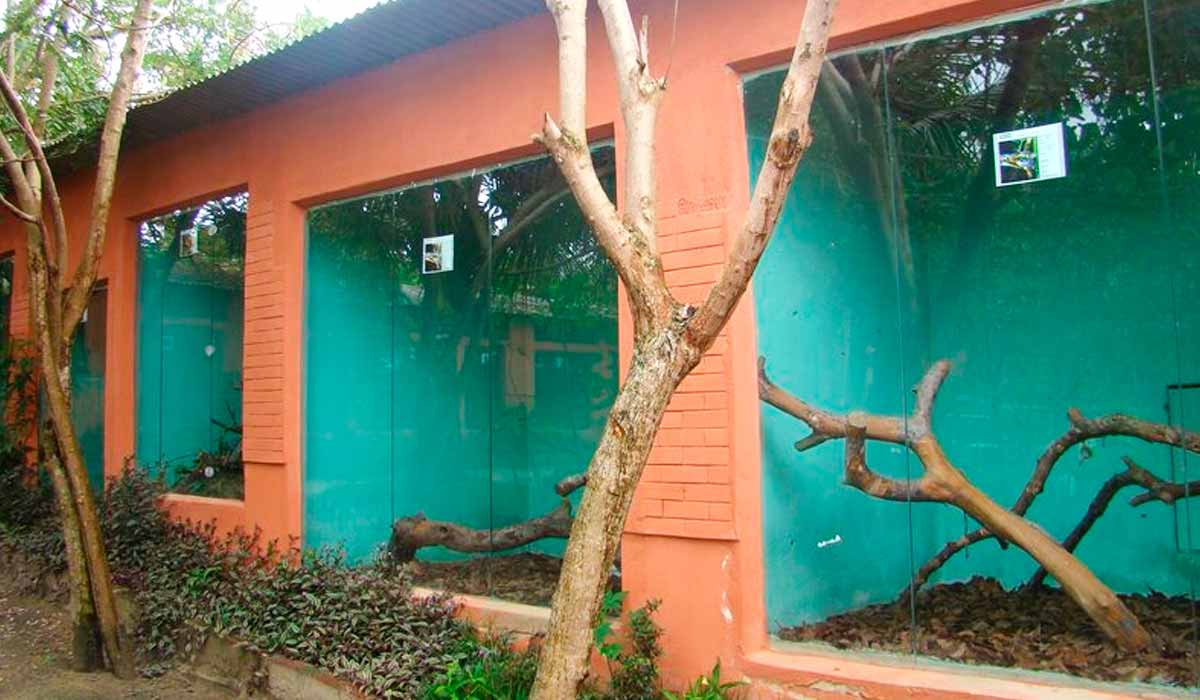 A estrutura abriga espécies nativas e exóticas A estrutura abriga espécies nativas e exóticas