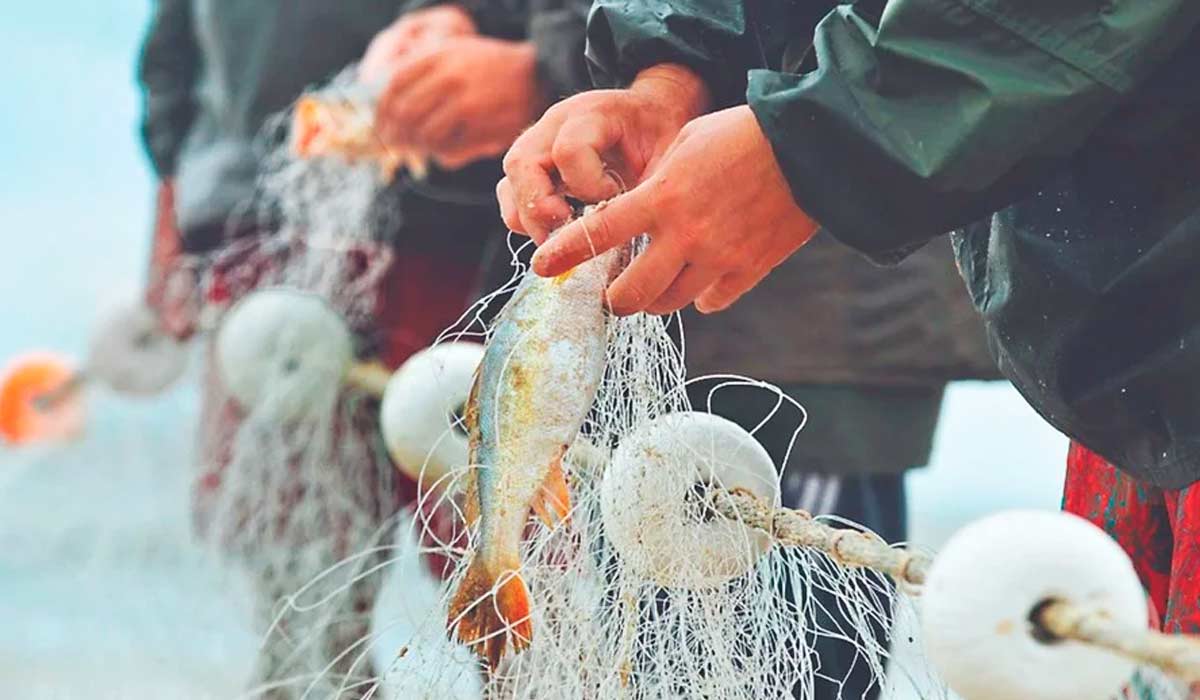 Pesca artesanal no RS - Foto: Alina Souza/ Correio do Povo Pesca artesanal no RS - Foto: Alina Souza/ Correio do Povo