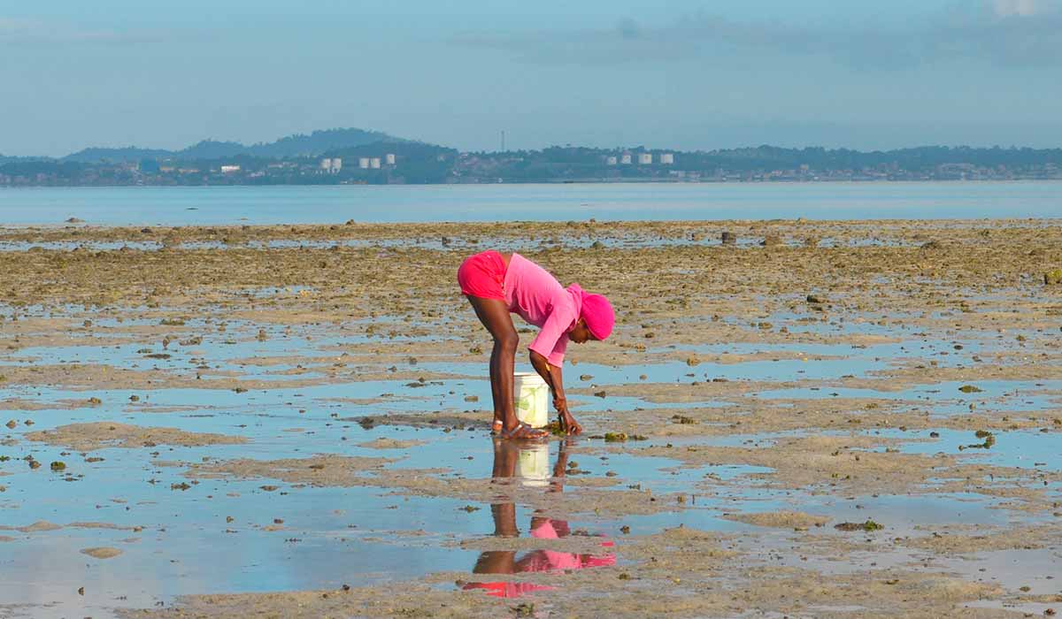 As marisqueiras têm suas vidas cadenciadas pelo fenômeno da maré e também podem ser beneficiadas pelo programa