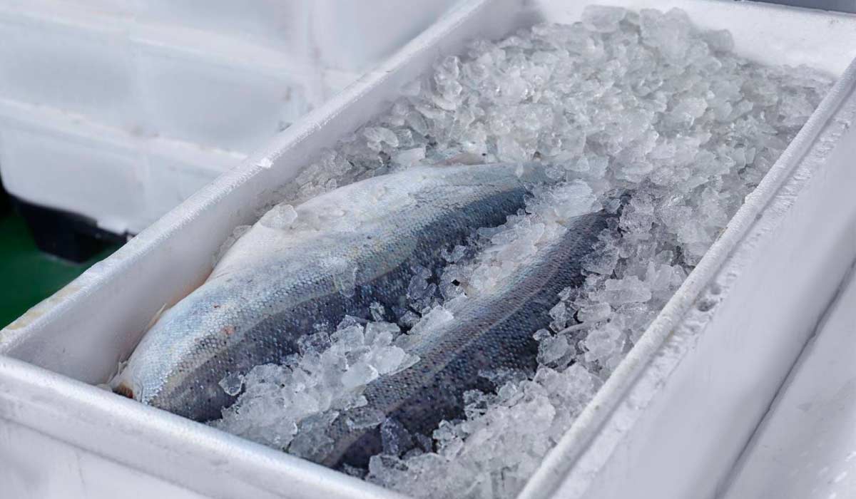 GTA segue obrigatória no transporte aquícola e nota fiscal se torna eixo central do controle GTA segue obrigatória no transporte aquícola e nota fiscal se torna eixo central do controle