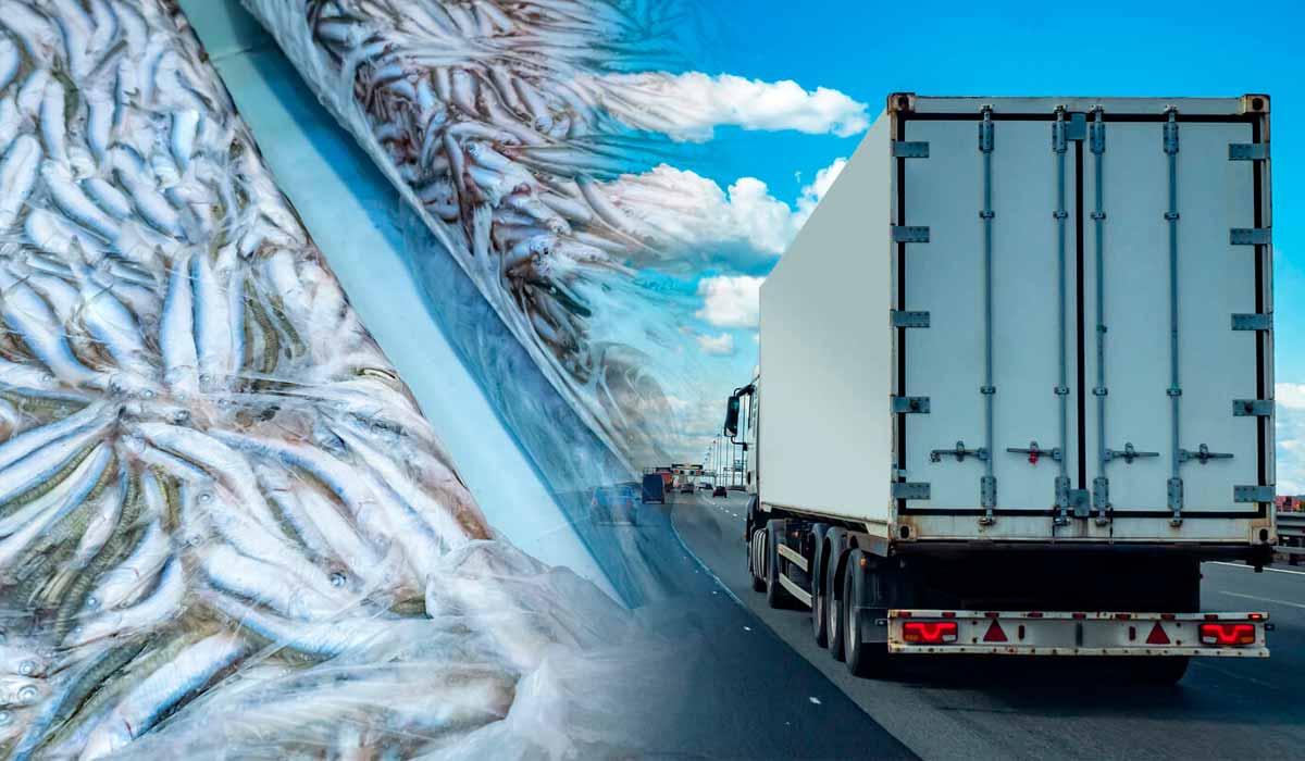 Transporte de pescado exige nova documentação obrigatória