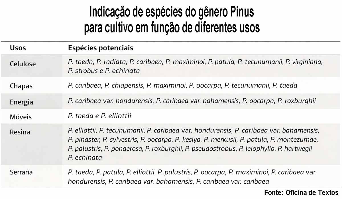 Indicação de espécies do gênero Pinus para cultivo em função de diferentes usos - Fonte: Oficina de Textos Indicação de espécies do gênero Pinus para cultivo em função de diferentes usos - Fonte: Oficina de Textos