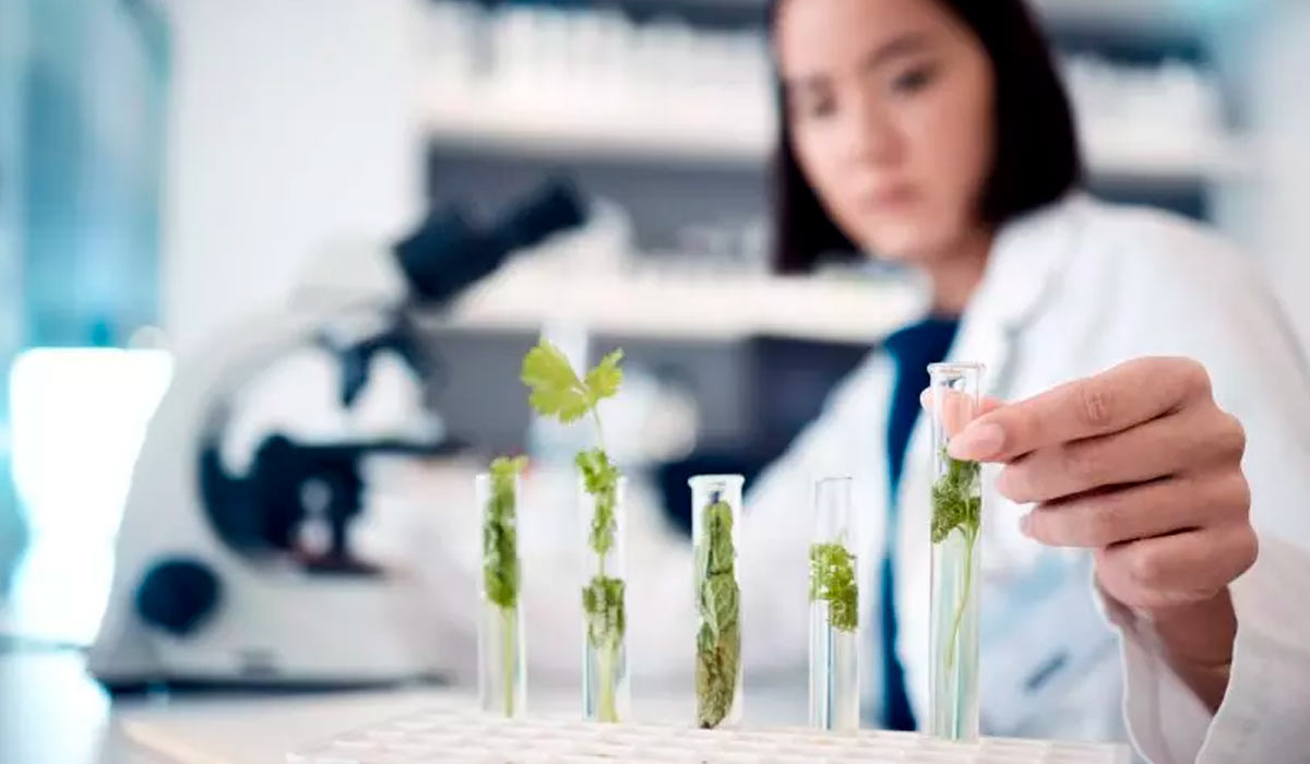 A presença feminina no agro promove a diversidade e inovação, apresentando soluções mais criativas e eficientes para os desafios agropecuários A presença feminina no agro promove a diversidade e inovação, apresentando soluções mais criativas e eficientes para os desafios agropecuários