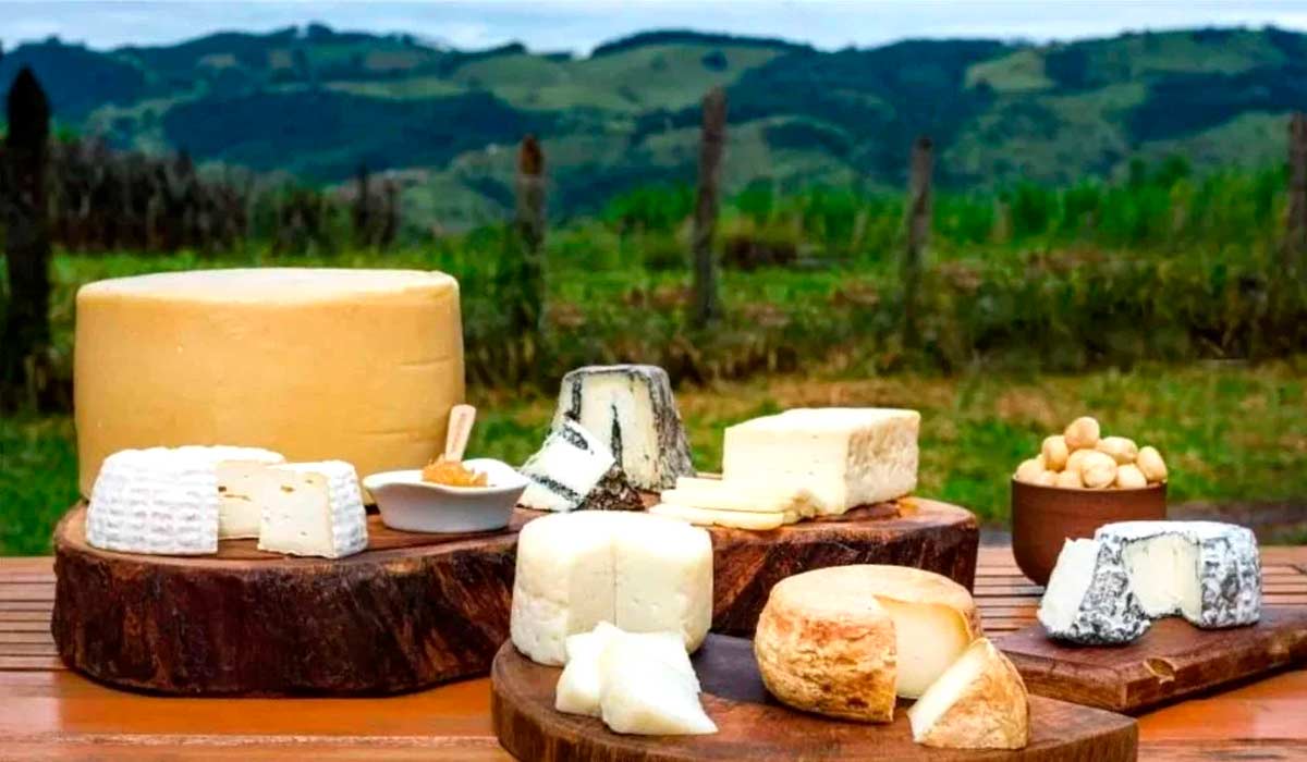 Rica gastronomia - Queijos artesanais paulistas em propriedades rurais abertas para visitação e degustação Rica gastronomia - Queijos artesanais paulistas em propriedades rurais abertas para visitação e degustação