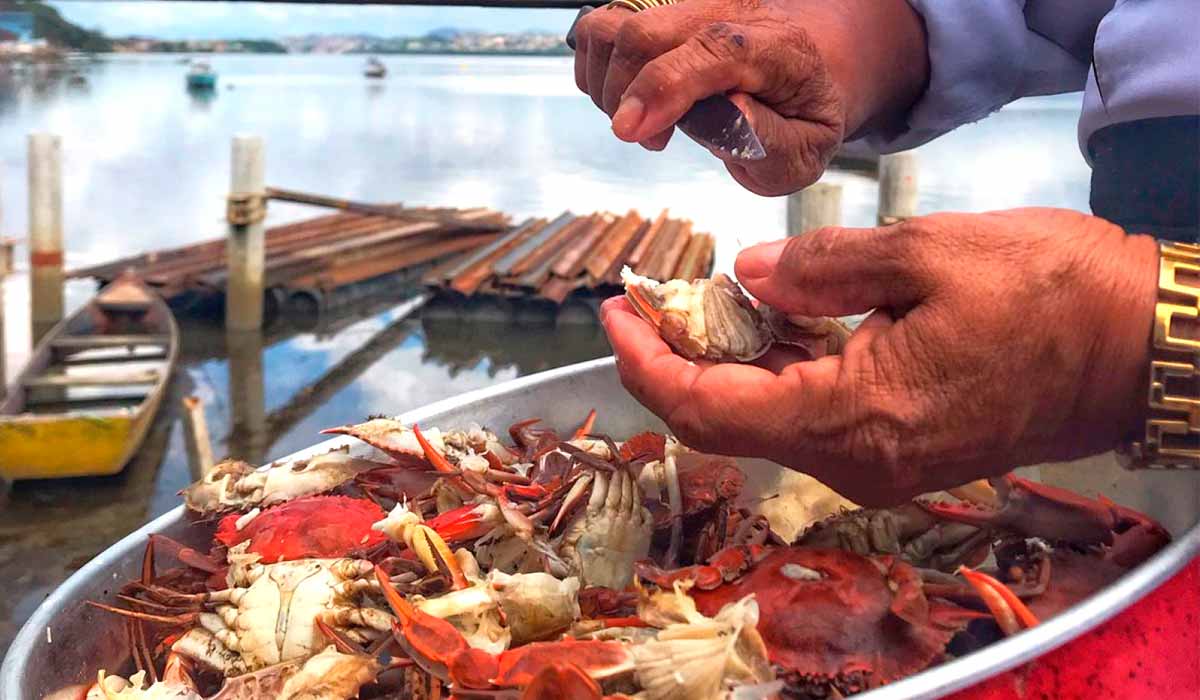 A arte de desfiar a carne do siri enriquece a gastronomia capixaba A arte de desfiar a carne do siri enriquece a gastronomia capixaba