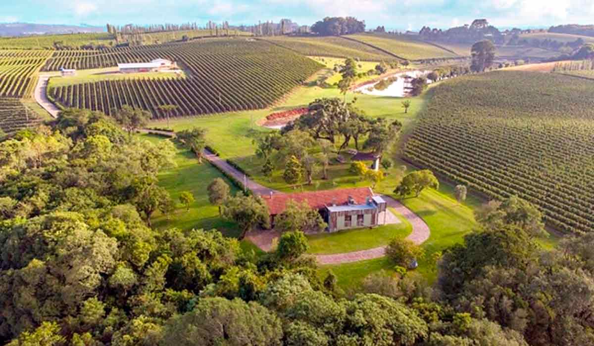 Vinícola na serra gaúcha, região de Pinto Bandeira Vinícola na serra gaúcha, região de Pinto Bandeira
