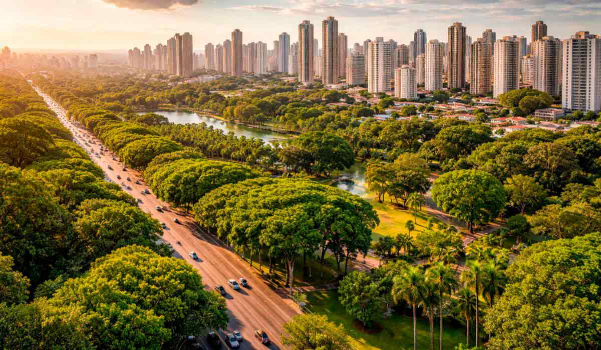Arborização urbana reduz impactos climáticos e melhora qualidade do ar, fortalecendo a biodiversidade e conforto térmico nas cidades Arborização urbana reduz impactos climáticos e melhora qualidade do ar, fortalecendo a biodiversidade e conforto térmico nas cidades