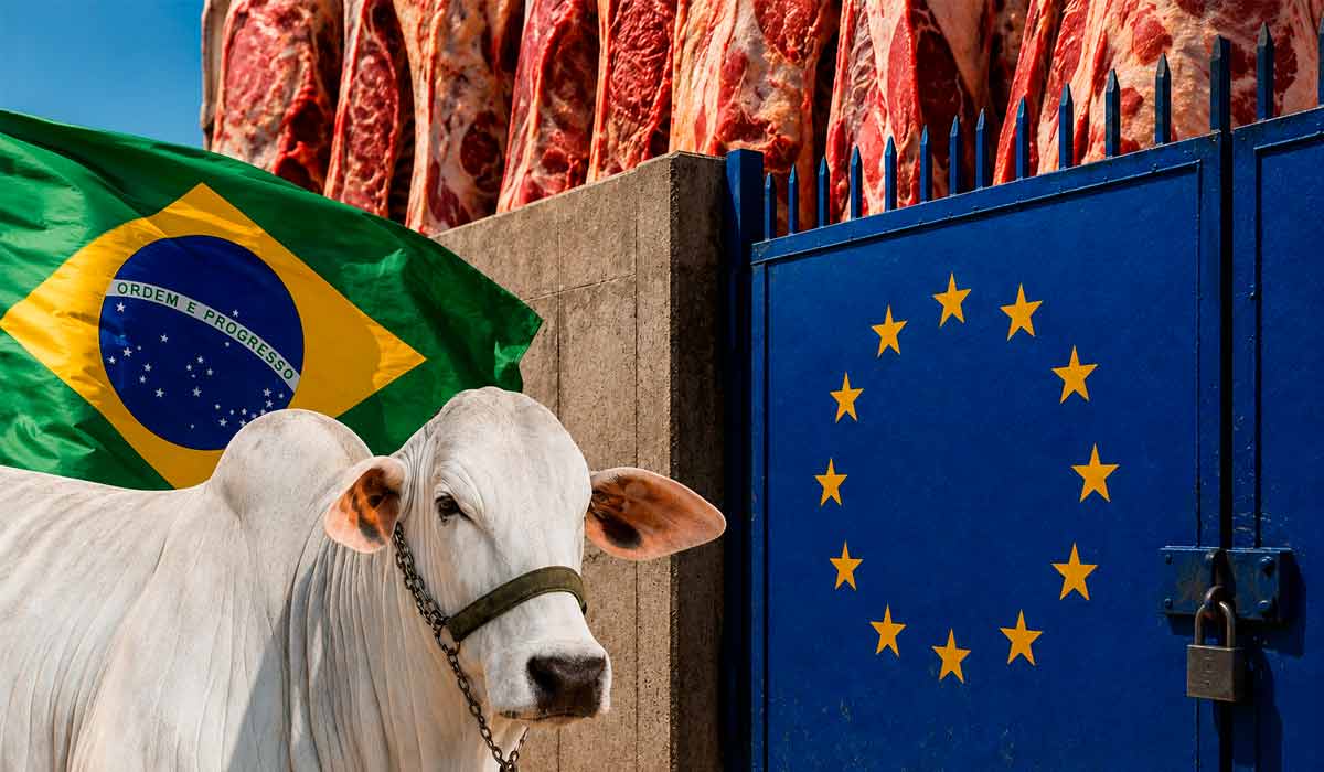 Controle de antimicrobianos ganha força no comércio com União Europeia e barreiras regulatórias ampliam debate sobre competitividade internacional Controle de antimicrobianos ganha força no comércio com União Europeia e barreiras regulatórias ampliam debate sobre competitividade internacional