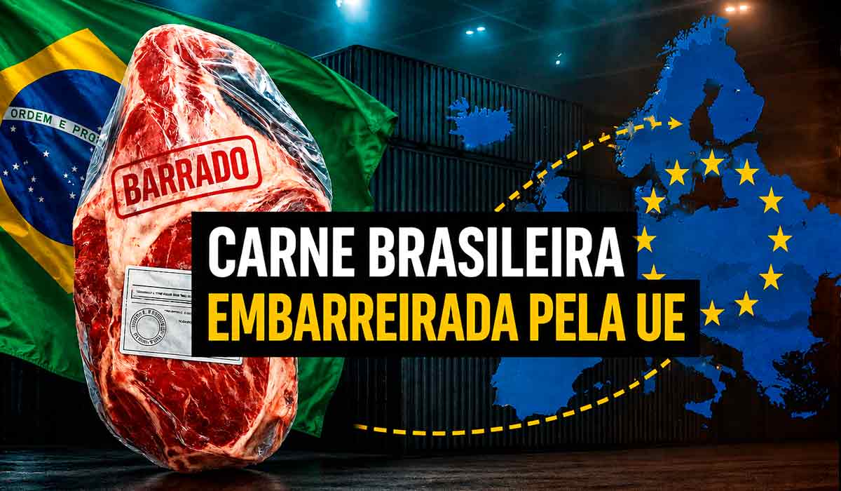 Brasil fora da lista europeia de exportadores de carne bovina