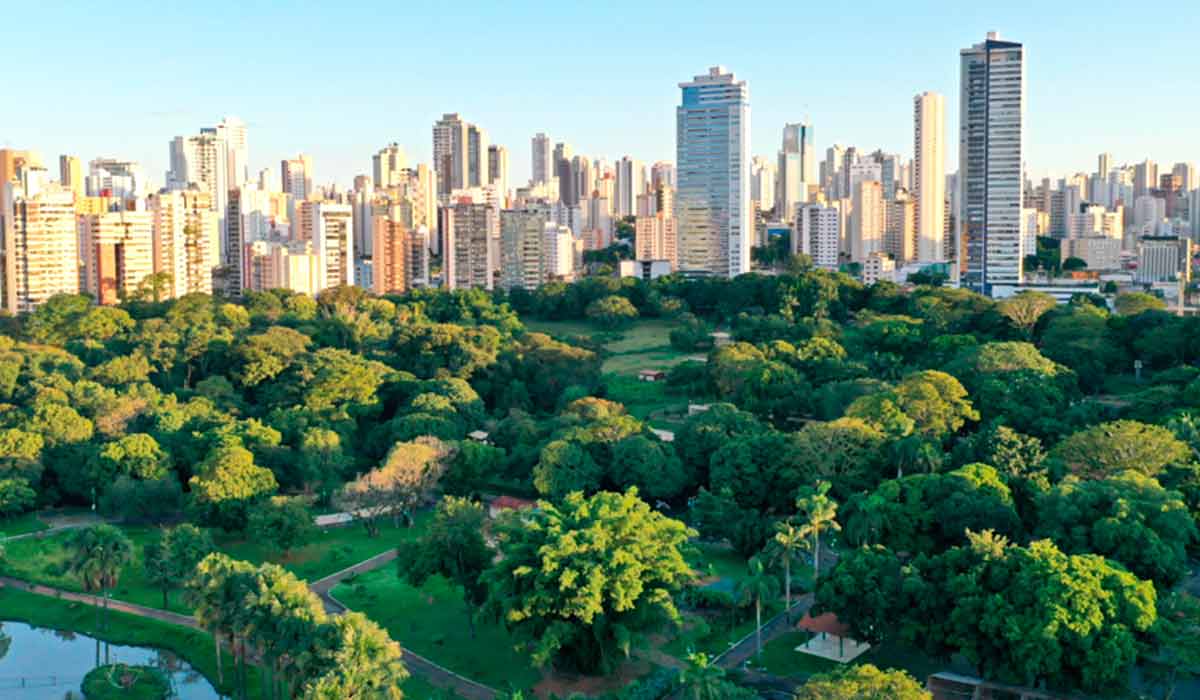 Arborização urbana ganha referência nacional com coletânea científica voltada à gestão municipal e biodiversidade Arborização urbana ganha referência nacional com coletânea científica voltada à gestão municipal e biodiversidade
