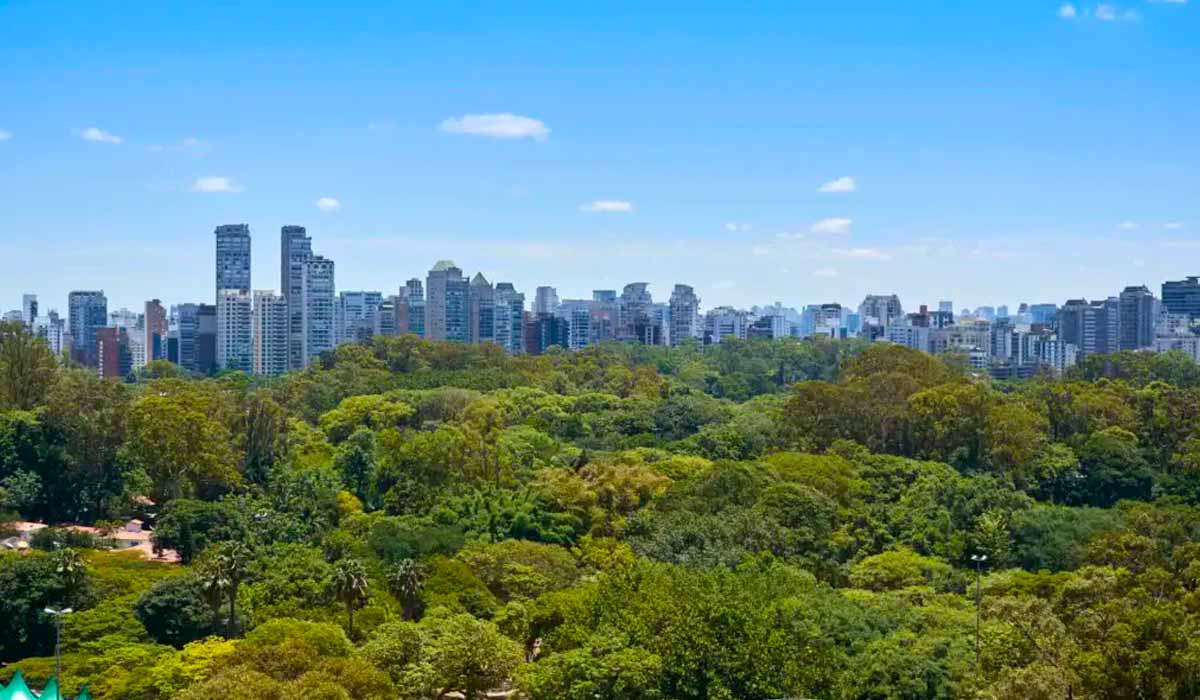 Áreas verdes urbanas contribuem para conforto térmico e melhoria da qualidade do ar Áreas verdes urbanas contribuem para conforto térmico e melhoria da qualidade do ar