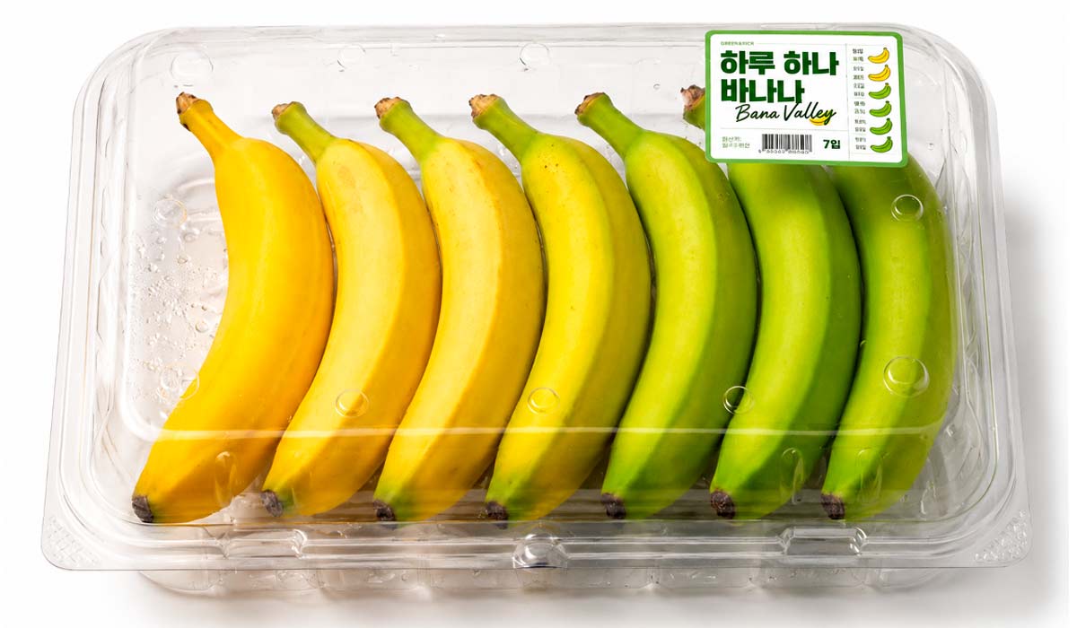 Bananas em diferentes estágios de maturação ampliam opções de consumo planejado Bananas em diferentes estágios de maturação ampliam opções de consumo planejado