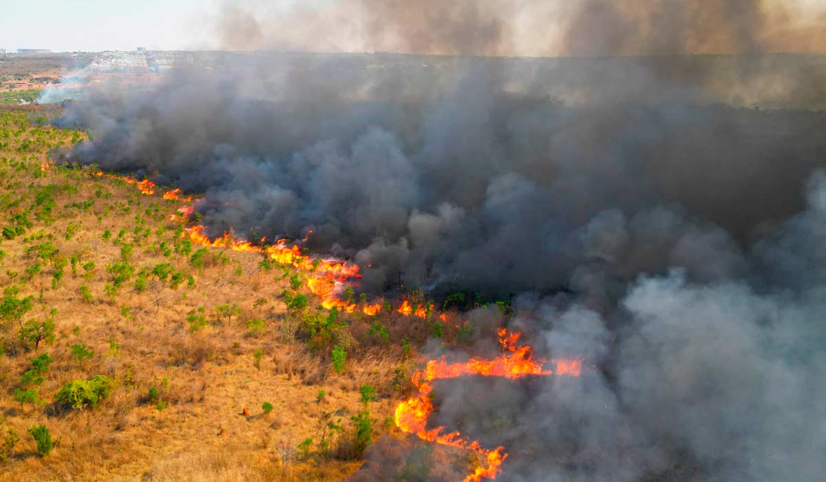 Projeto incentiva prevenção de incêndios em propriedades rurais brasileiras Projeto incentiva prevenção de incêndios em propriedades rurais brasileiras