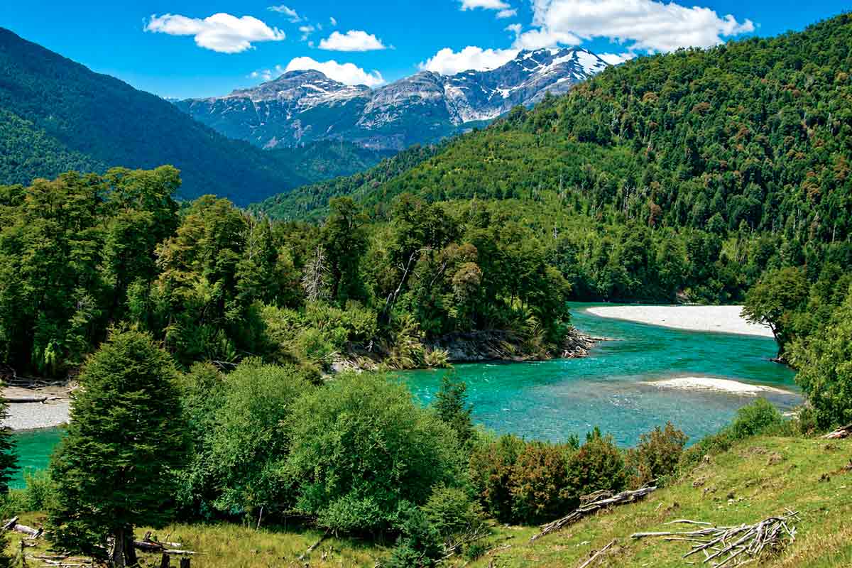 Rio Frio, que nasce na região de Los Lagos, nos Andes chilenos, e flui, finalmente, para o sul até desaguar na margem norte do rio Palena Rio Frio, que nasce na região de Los Lagos, nos Andes chilenos, e flui, finalmente, para o sul até desaguar na margem norte do rio Palena