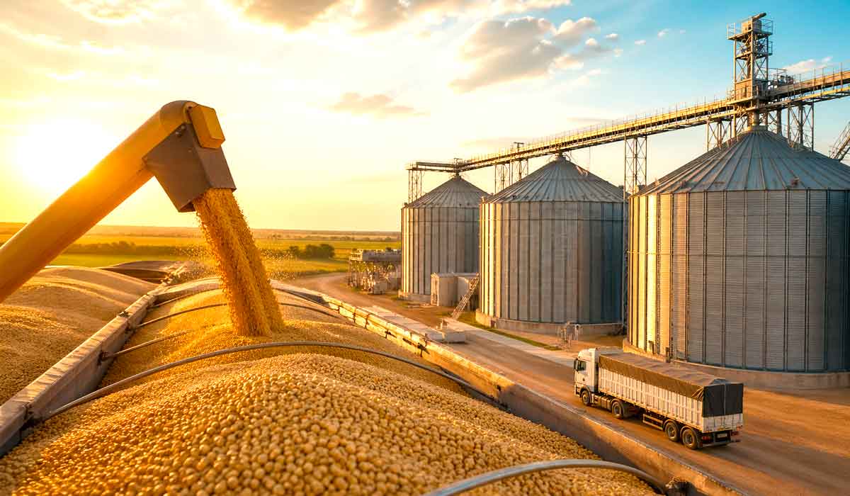 Falta de armazenagem amplia custos e perdas e investimentos em silos serão decisivos para sustentar futuras safras Falta de armazenagem amplia custos e perdas e investimentos em silos serão decisivos para sustentar futuras safras