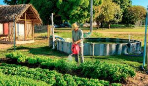 Produção sustentável ocupa pequenas áreas em Ananindeua