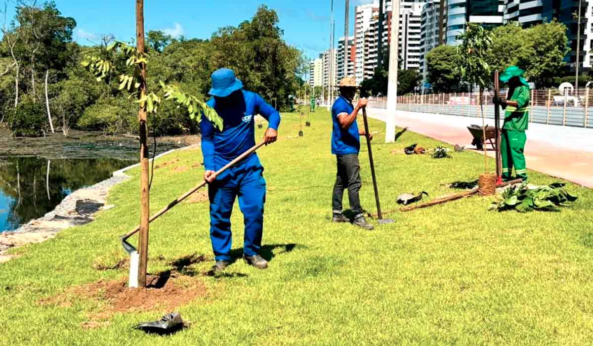 Novos investimentos ampliam áreas verdes e reduzem ilhas de calor e arborização urbana avança como ferramenta de adaptação às mudanças climáticas Novos investimentos ampliam áreas verdes e reduzem ilhas de calor e arborização urbana avança como ferramenta de adaptação às mudanças climáticas