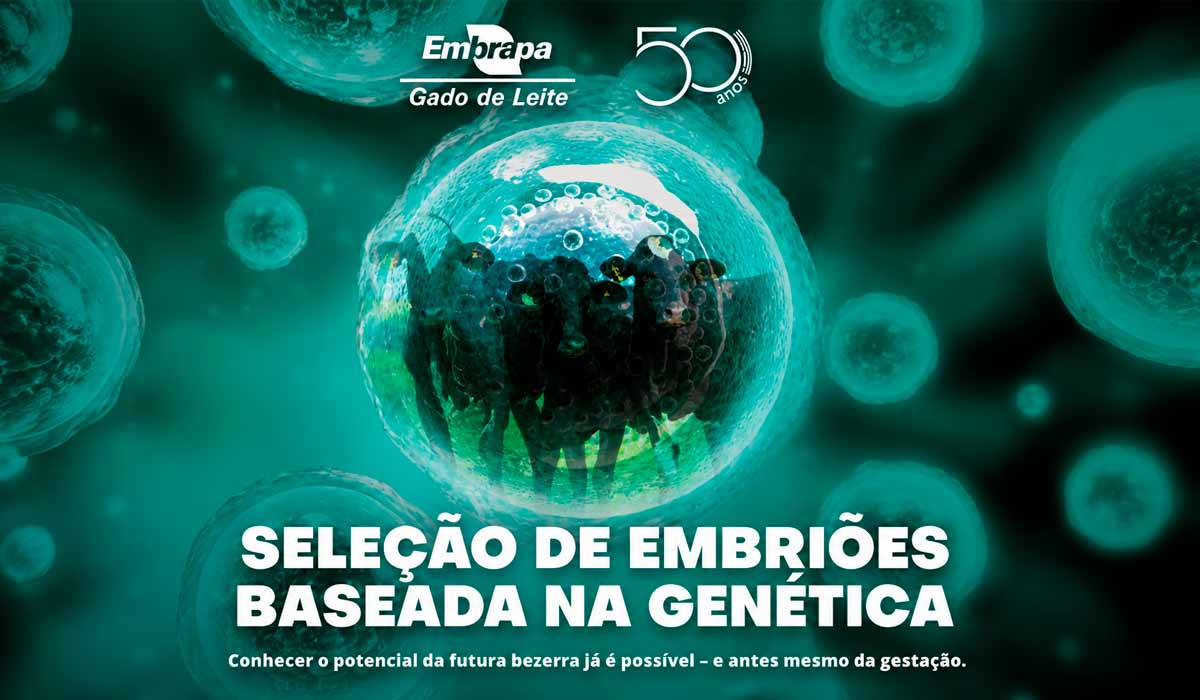 Embrapa Gado de Leite celebra 50 anos de contribuição ao setor leiteiro e lança anuário destacando desafios e oportunidades da pecuária leiteira em 2026 Embrapa Gado de Leite celebra 50 anos de contribuição ao setor leiteiro e lança anuário destacando desafios e oportunidades da pecuária leiteira em 2026