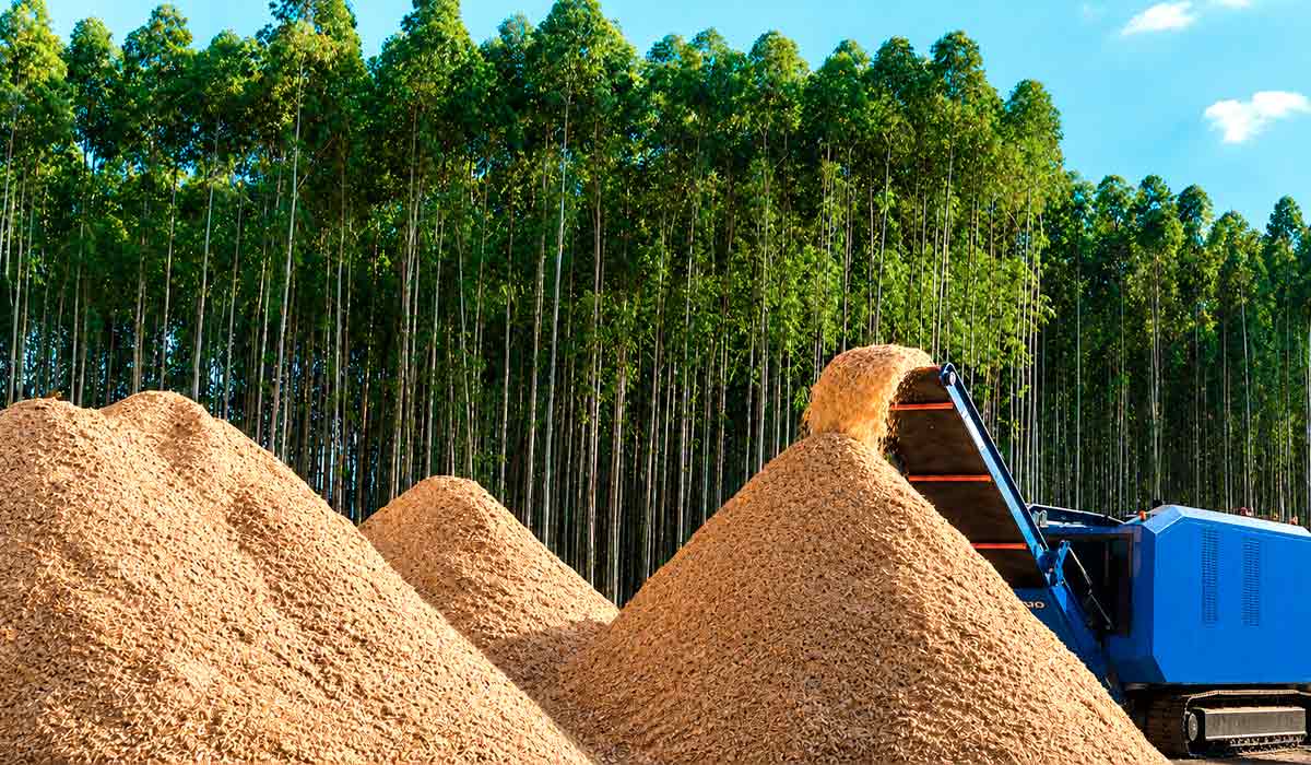 BioMC reforça competitividade e sustentabilidade das florestas brasileiras e biomassa florestal impulsiona novos produtos de alto valor agregado BioMC reforça competitividade e sustentabilidade das florestas brasileiras e biomassa florestal impulsiona novos produtos de alto valor agregado